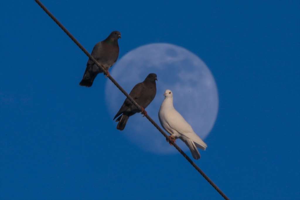 Indahnya Bulan Purnama di Langit Turki