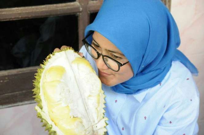 Heboh! Begini Aksi Bupati Lebak Saat Panjat Pohon Durian