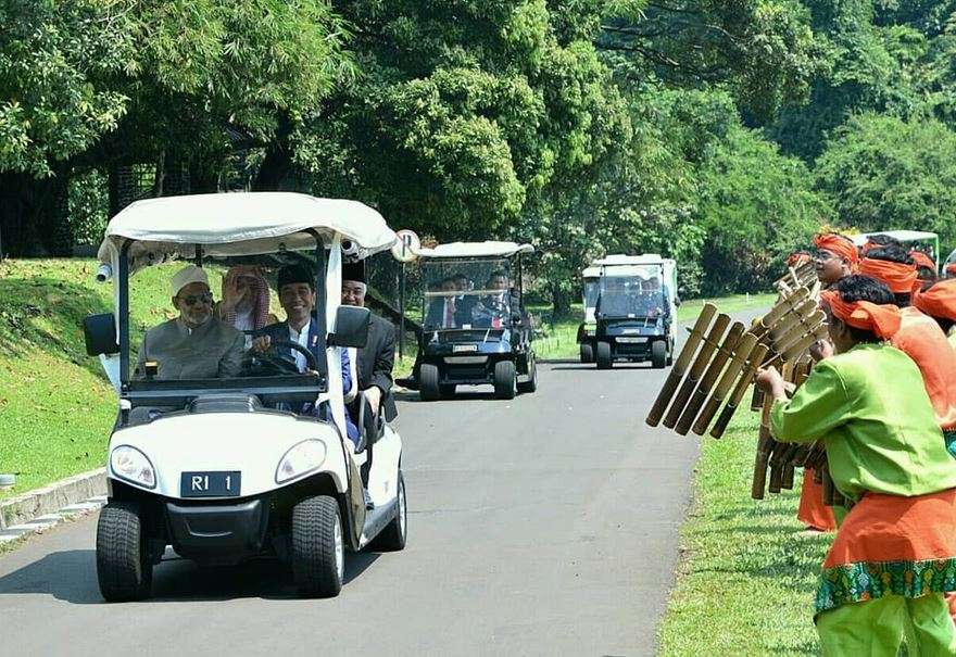 Jokowi Dorong Revitalisasi Poros Wasatiyyat Islam Dunia