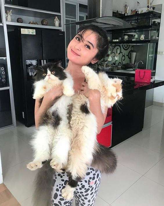 Serba Hitam, Begini Tampilan Rumah Mewah Dewi Perssik