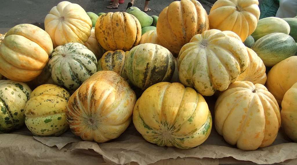 5 Buah Ini Baik Dikonsumsi Saat Bulan Puasa