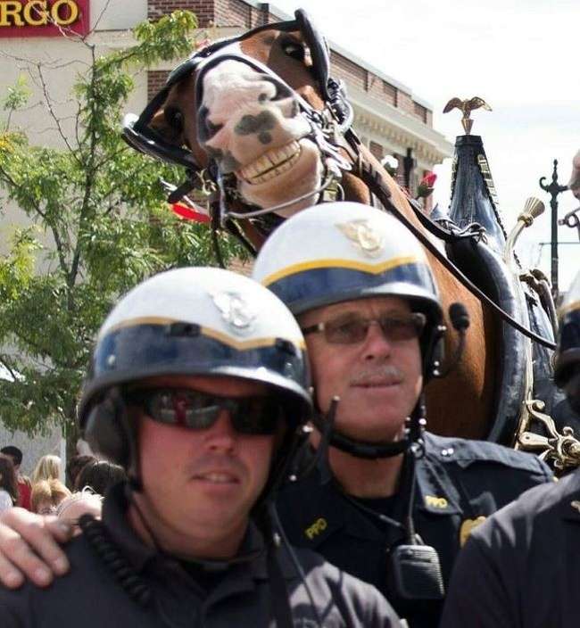 Ini Jadinya Jika Latar Foto Lebih Menarik dari Objeknya