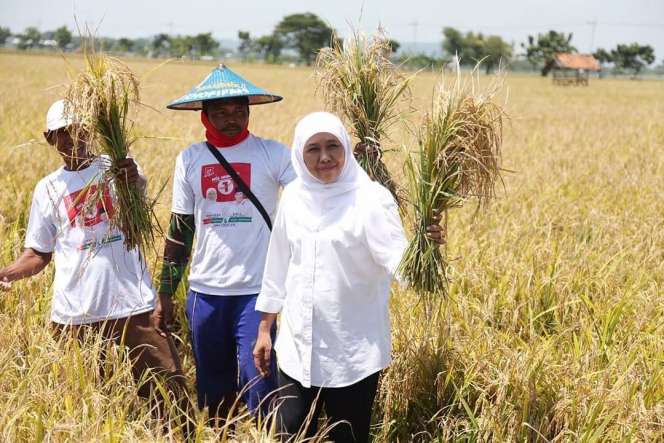 10 Srikandi Berhijab Pemimpin di Jawa Timur