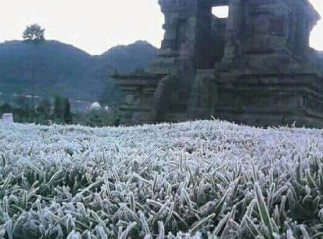 Lihat Cantiknya Penampakan Embun Es di Dataran Dieng