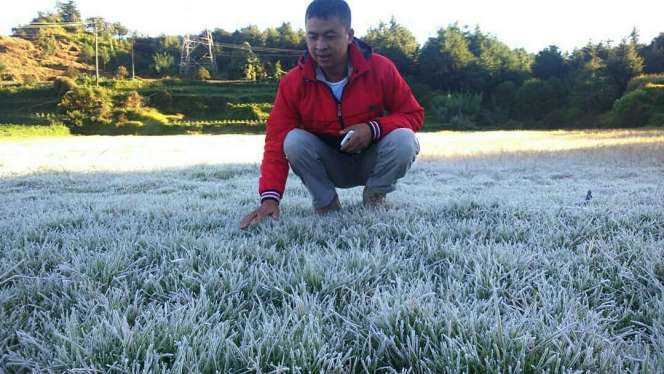 Lihat Cantiknya Penampakan Embun Es di Dataran Dieng
