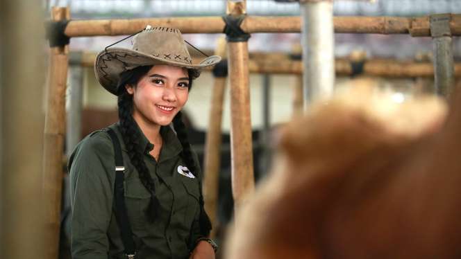 Pesona dan Gaya SPG Cantik Jualan Sapi Kurban