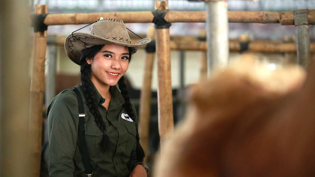 Pesona dan Gaya SPG Cantik Jualan Sapi Kurban