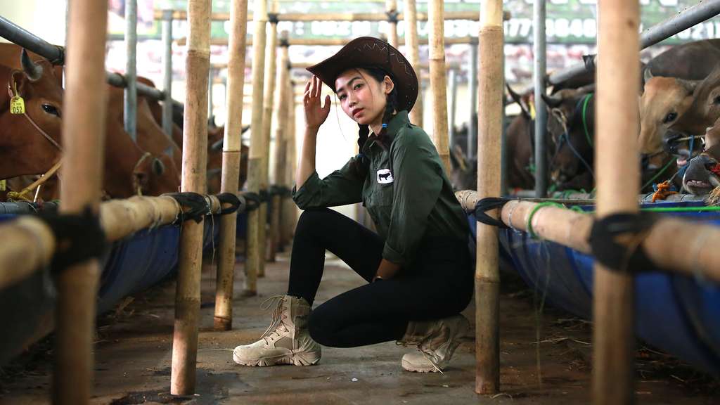 Pesona dan Gaya SPG Cantik Jualan Sapi Kurban