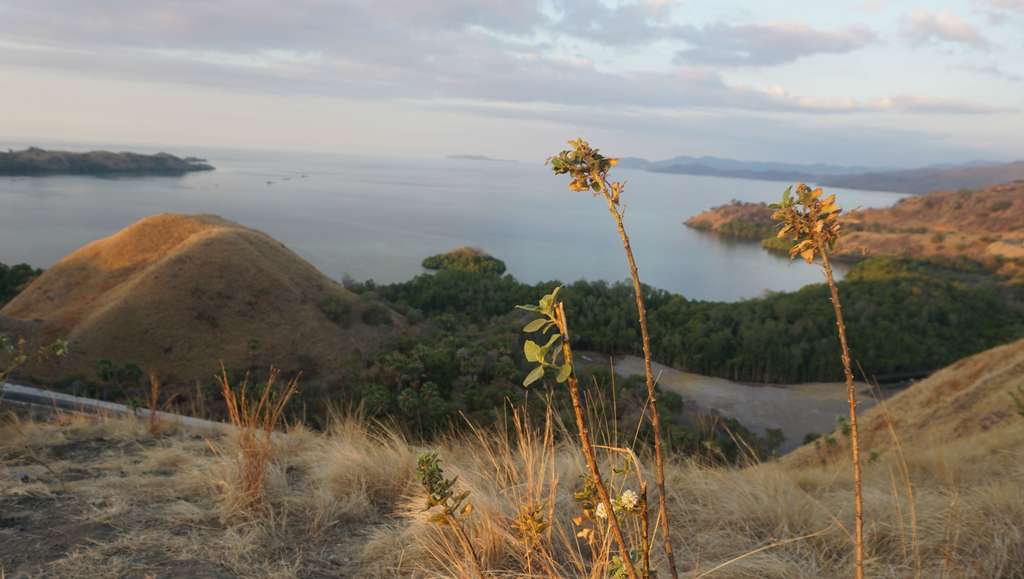 Menikmati Senja di Bukit Sylvia