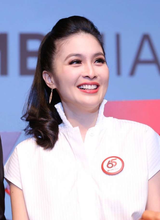 Gara-gara Drama Korea, Sandra Dewi Jerawatan