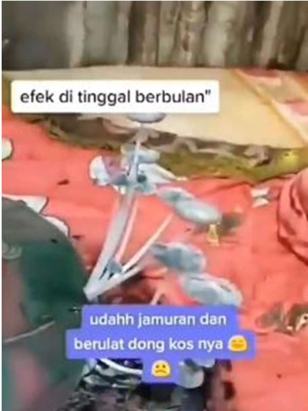 Merinding! Potret Isi Kamar Kos Berjamur Usai Ditinggal Mudik