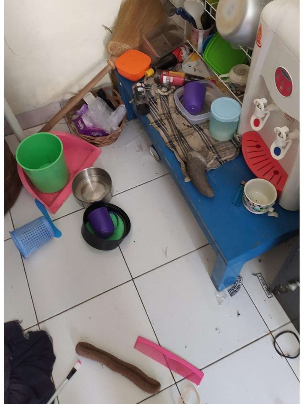 Merinding! Potret Isi Kamar Kos Berjamur Usai Ditinggal Mudik