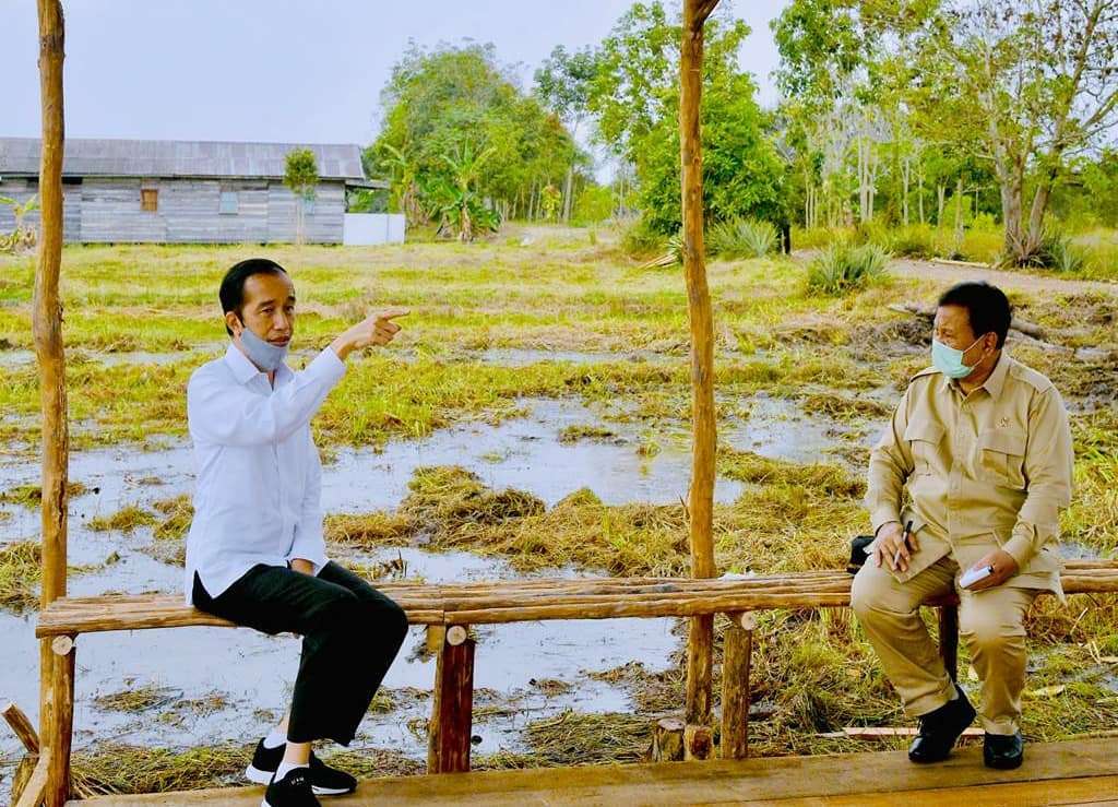 Potret Harmoni Jokowi dan Prabowo di Lumbung Pangan Indonesia