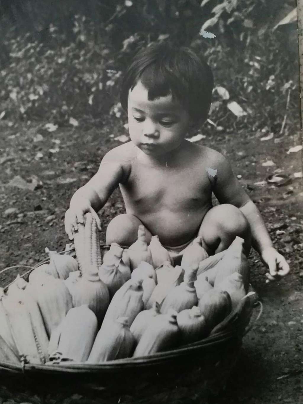 Tak Pernah Terekspos, Potret Masa Kecil Jihan Fahira