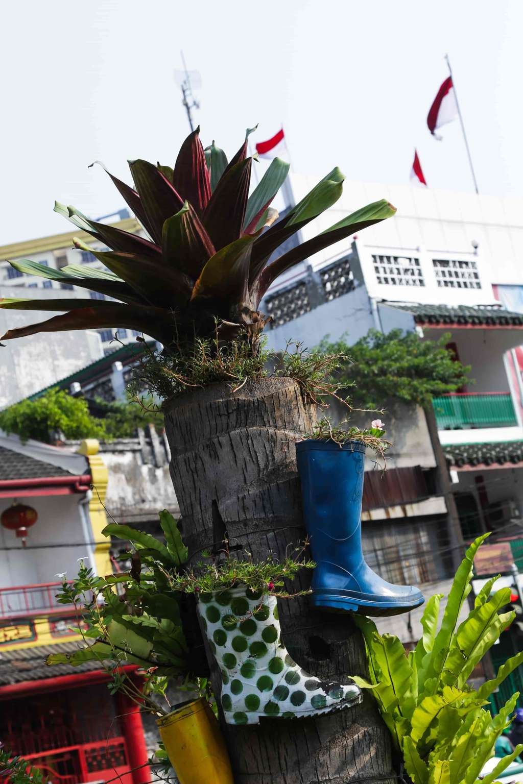 Potret Sepatu Boot Disulap Jadi Pot Taman di Kota Tua, Keren!