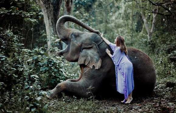 Gaya Pemotretan Ashanty Bareng Gajah, Hasilnya Keren Abis!