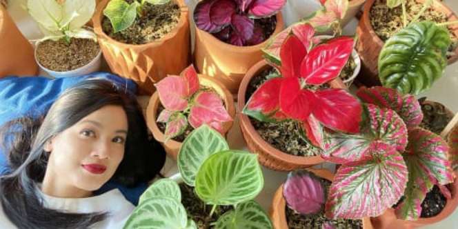 Titi Kamal Koleksi Janda Bolong, Harganya Bikin Melongo!