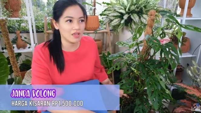 Titi Kamal Koleksi Janda Bolong, Harganya Bikin Melongo!