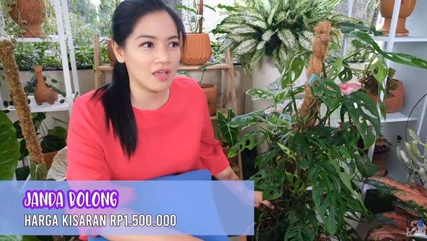 Titi Kamal Koleksi Janda Bolong, Harganya Bikin Melongo!