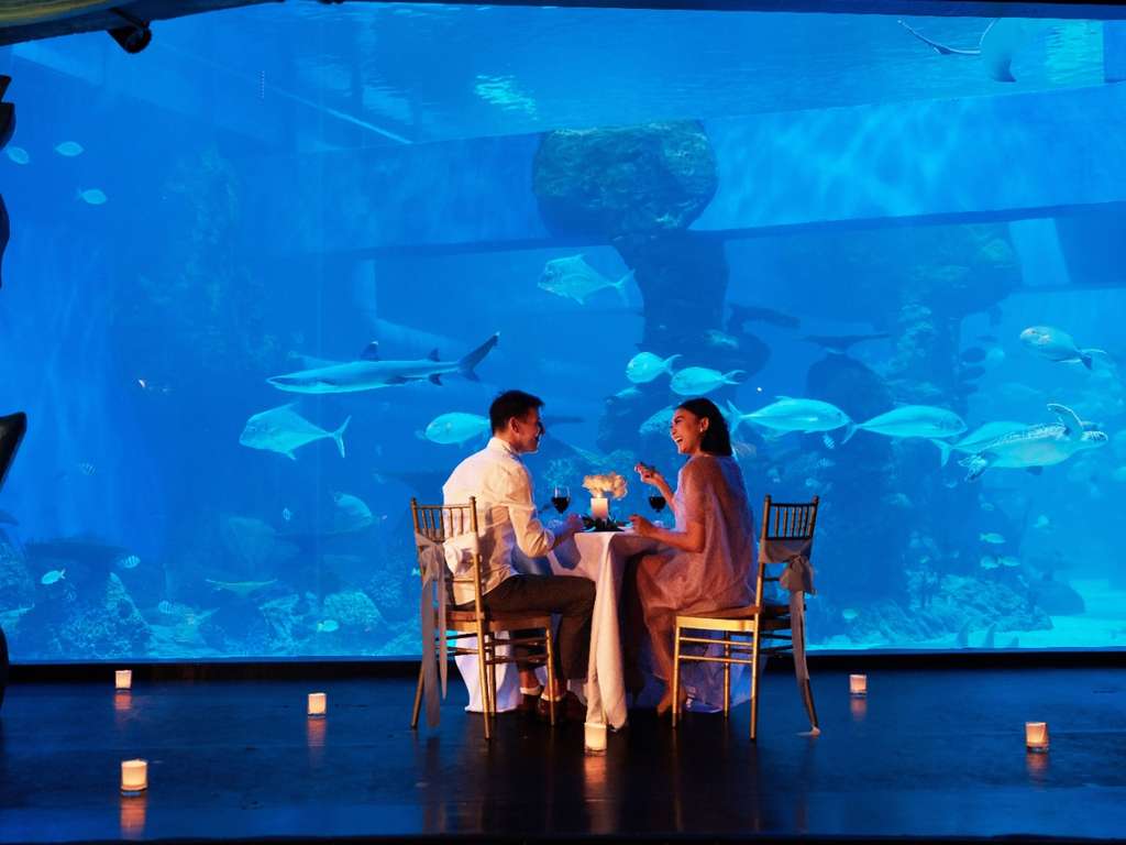 Potret Sensasi Makan Malam Romantis di Bawah Laut, Seru!