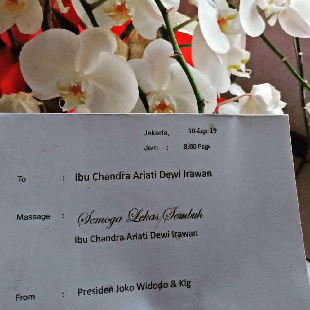 7 Seleb dapat Kado dari Jokowi, Hadiah untuk Raisa Bikin Iri