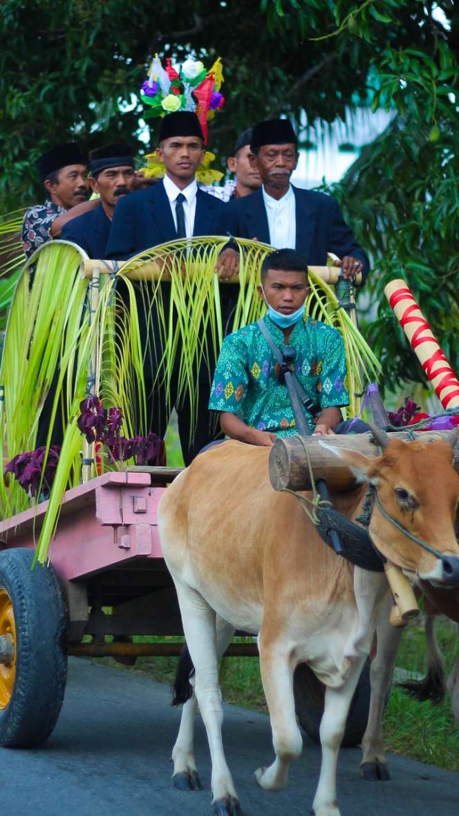 Gerobak Boti, Tunggangan Pengantin di Sulawesi Tengah