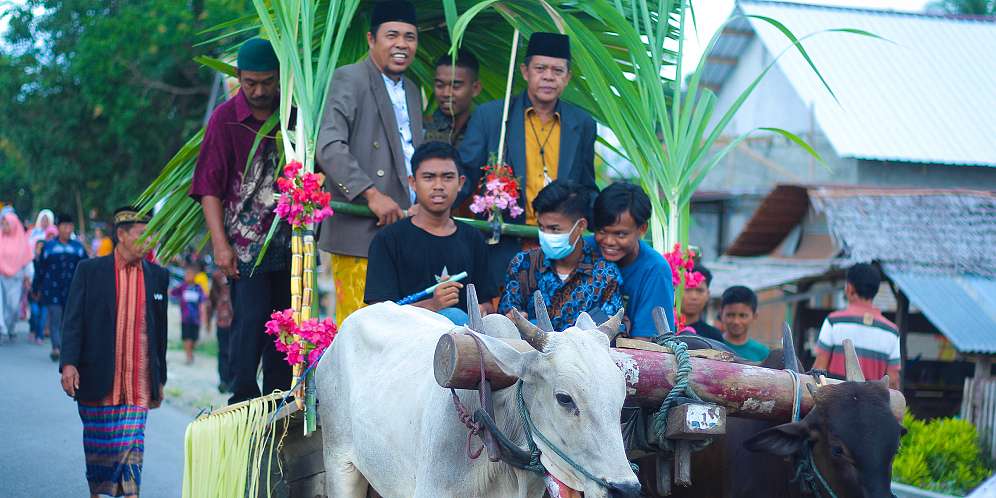 Gerobak Boti, Tunggangan Pengantin di Sulawesi Tengah