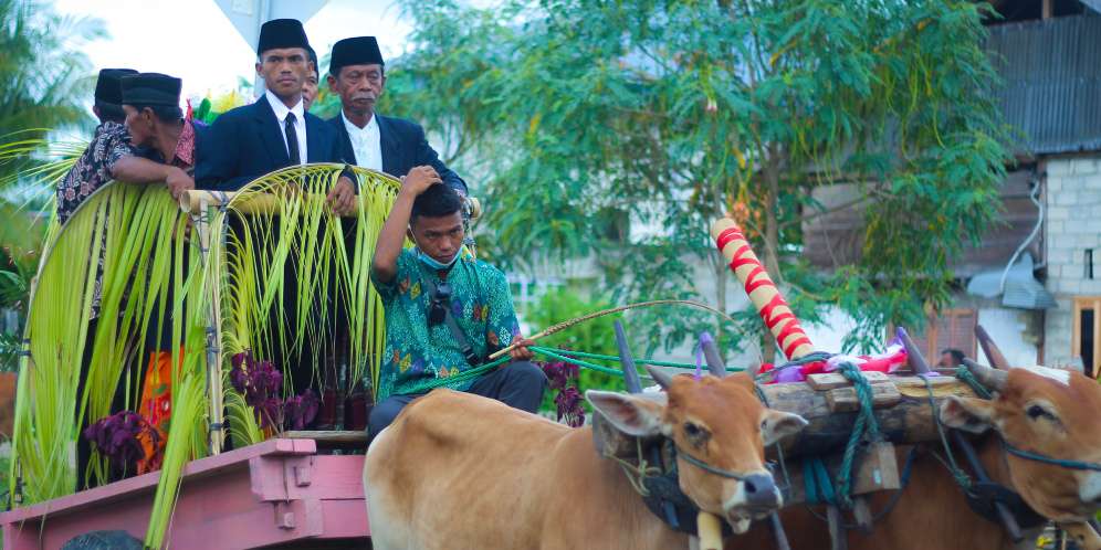Gerobak Boti, Tunggangan Pengantin di Sulawesi Tengah