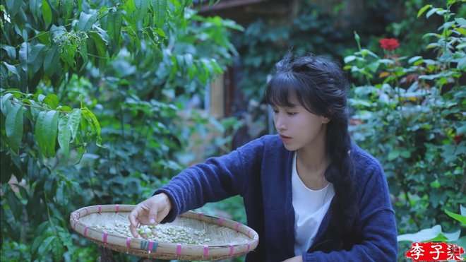 Fakta Li Ziqi YouTuber Kampung yang Penghasilannya Miliaran