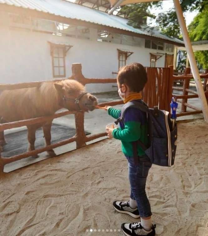 7 Momen Seru Rachel Vennya & Xabiru Kunjungi Kebun Binatang