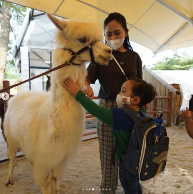 7 Momen Seru Rachel Vennya & Xabiru Kunjungi Kebun Binatang