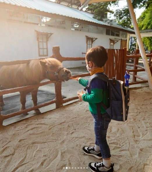 7 Momen Seru Rachel Vennya & Xabiru Kunjungi Kebun Binatang