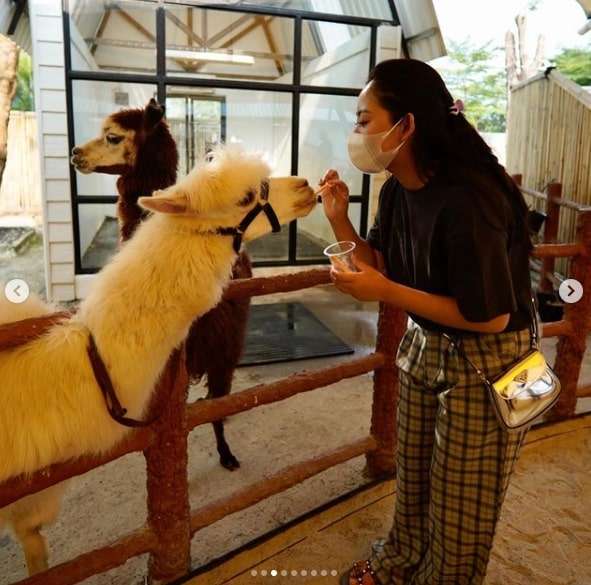 7 Momen Seru Rachel Vennya & Xabiru Kunjungi Kebun Binatang