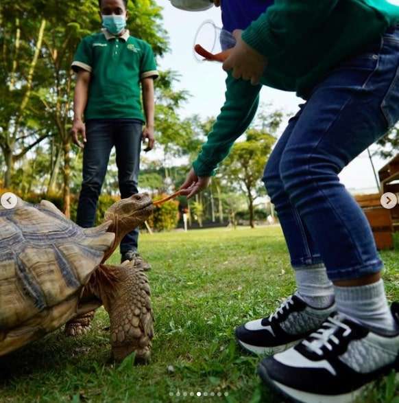 7 Momen Seru Rachel Vennya & Xabiru Kunjungi Kebun Binatang