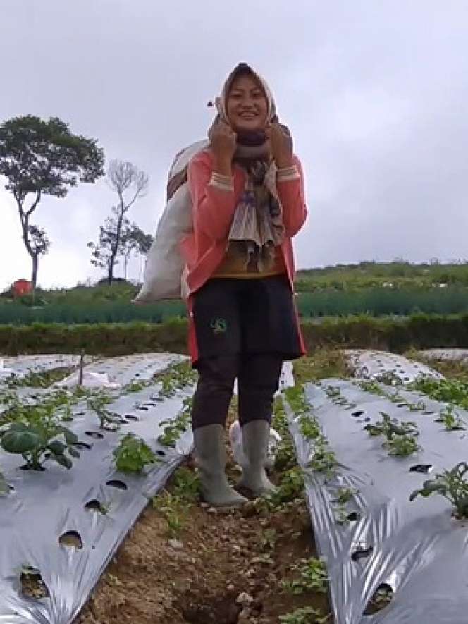 5 Pesona Novi Listiana, Eks Biduan Kini Hijrah Jadi Petani