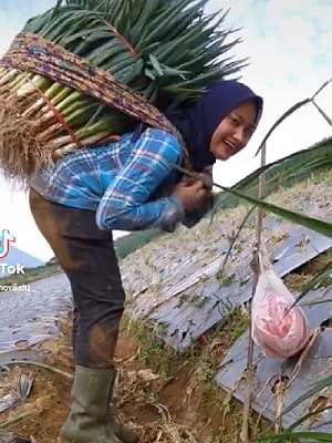 5 Pesona Novi Listiana, Eks Biduan Kini Hijrah Jadi Petani