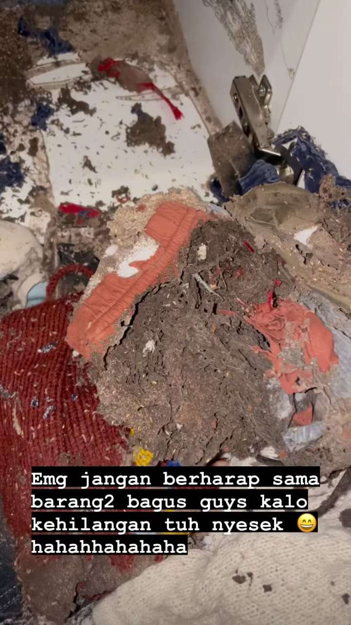 12 Foto Baju Branded Anak Rachel Vennya Dimakan Rayap, Nyesek!
