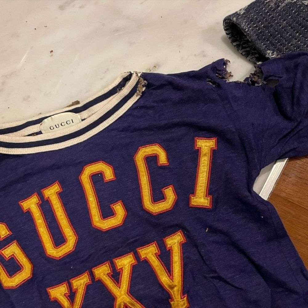 12 Foto Baju Branded Anak Rachel Vennya Dimakan Rayap, Nyesek!