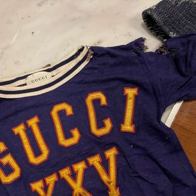 12 Foto Baju Branded Anak Rachel Vennya Dimakan Rayap, Nyesek!