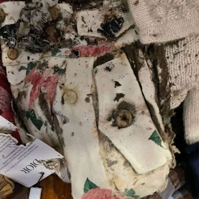 12 Foto Baju Branded Anak Rachel Vennya Dimakan Rayap, Nyesek!