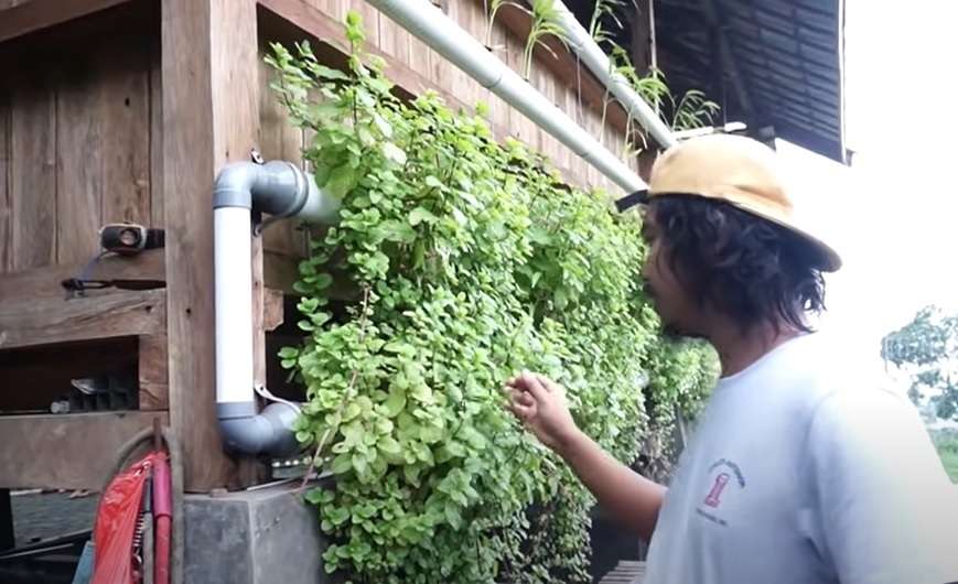 10 Foto Rumah Viral Dodit Mulyanto, Seram Ada di Tengah Hutan