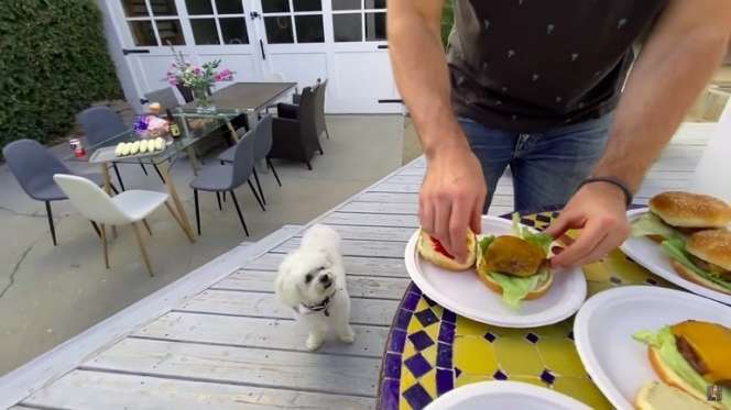 10 Potret Mewahnya Rumah Sarah Azhari di Los Angeles, Takjub!