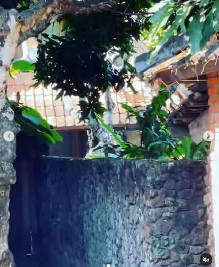 Bikin Syok! Begini 7 Potret Kondisi Rumah Chef Juna di Bali