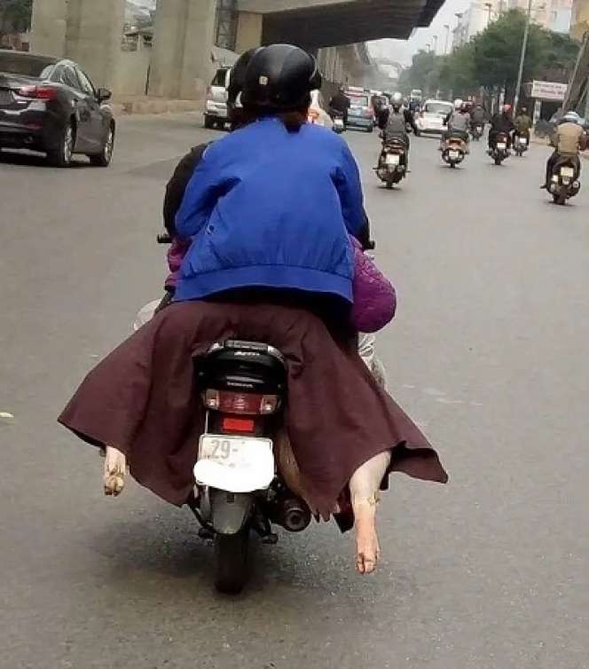 Awas Ketipu! Deretan Momen Lucu Ini Penuh Kamuflase