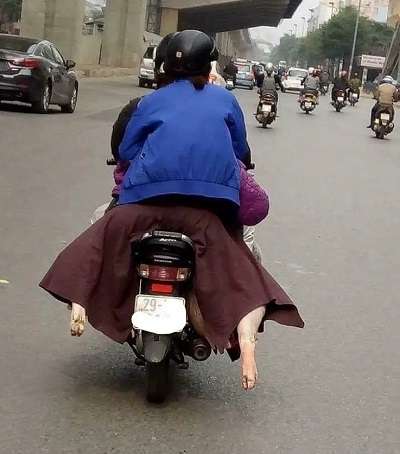 Awas Ketipu! Deretan Momen Lucu Ini Penuh Kamuflase