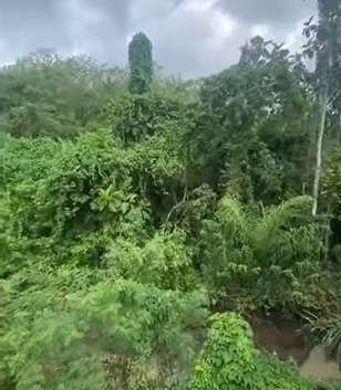 6 Potret Pembangunan Villa Ashanty di Bali, Bakal Ada 30 Unit