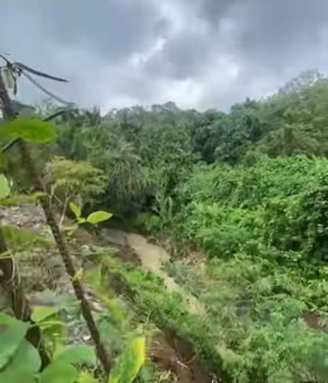 6 Potret Pembangunan Villa Ashanty di Bali, Bakal Ada 30 Unit