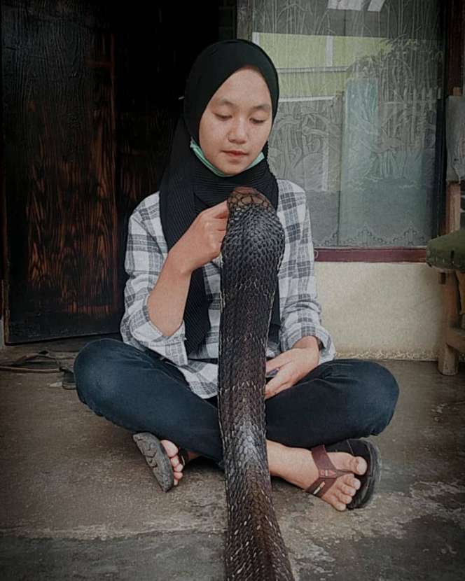 Ingat Gadis Bandung Pamer Dicium King Kobra 4 Meter? Nasibnya