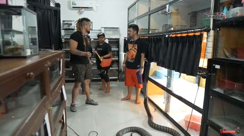 Potret Marahnya Panji Petualang Lebih Menakutkan dari Garaga