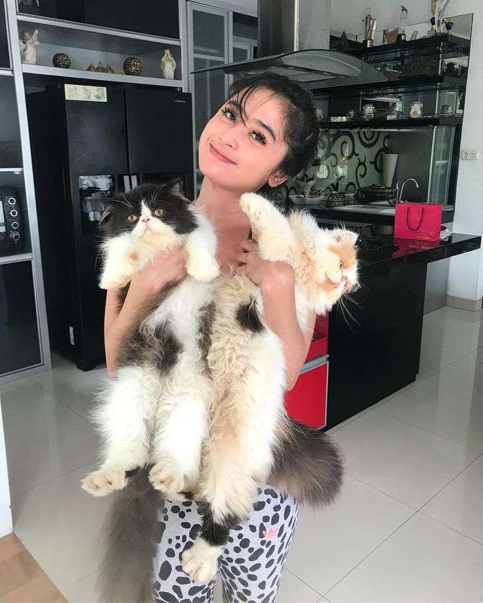 Adu Super Mewah 7 Dapur Artis, Punya Inul Wah Banget!